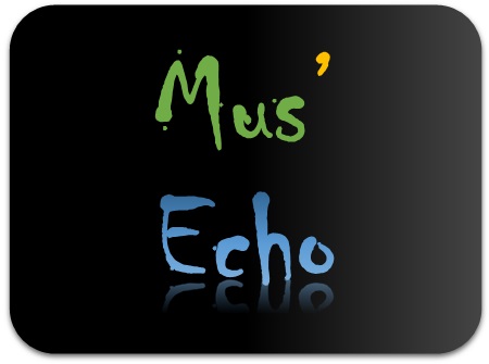 Mus'Echo - Orchestre Symphonique à Tours Métropole Val de Loire